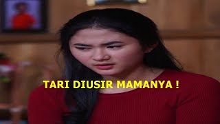 Download lagu CINTA SUCI HARI INI, ADIK ADITYA DIUSIR, KEBAHAGIAAN SUCI MARCEL mp3