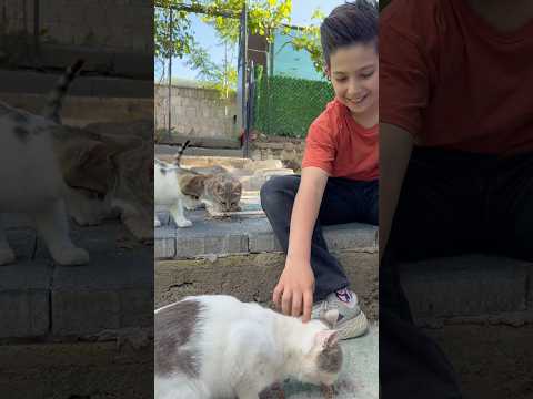 Küçük dostlarımızı koruyalım…