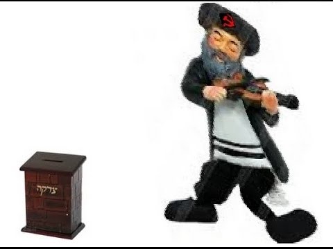 תצוגת סרטון