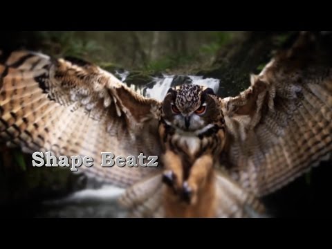 Shape Beatz - Never came (Hip-hop & RnB instrumental) For Sale