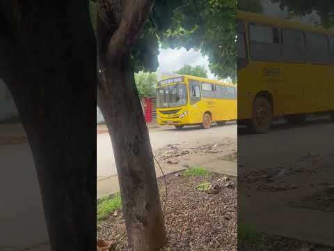 VOLKSBUS 17-230 Cruzeiro do Sul 3293