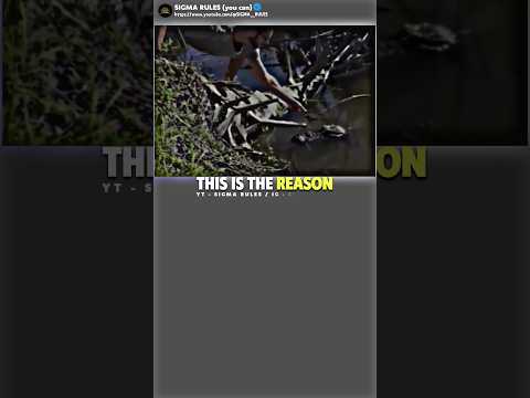 Sigma🗿~ Why Boys Don't Live Long ~ #motivation #inspiration #shorts