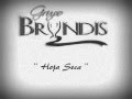 Grupo Bryndis - Hoja Seca