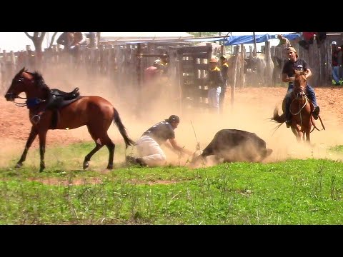 PRÉVIA DO PARQUE MARIA CREUZA (bolão2025)
