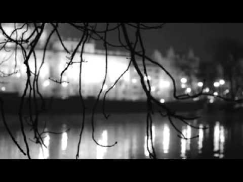 Greyhound90 - P.F. 2012