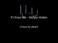 If I Know Me Morgan Wallen 1 HOUR