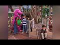 Barney Song I Just Can T Wait Waiting For Mr MacRooney
