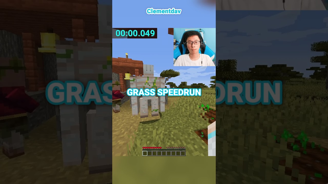 Minecraft Touch Grass Speedrun (set seed)