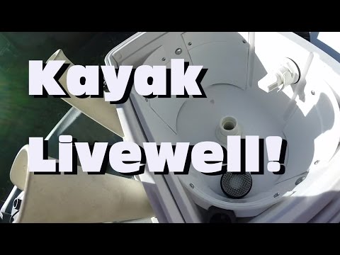 Homemade Kayak Livewell Tutorial