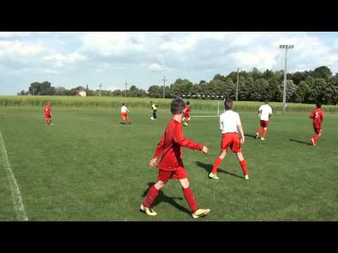 Kiemelt Bozsik   DPASE- Főnix