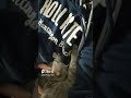 Reward From Rehabbing Grey Tabby Cat Shorts