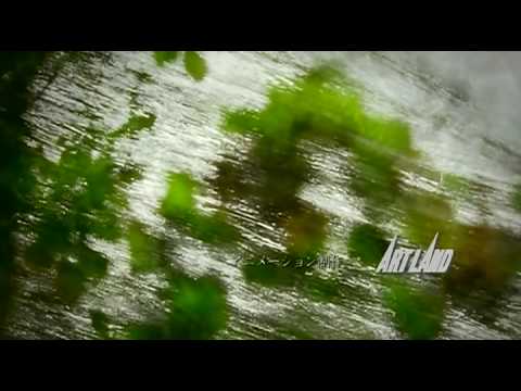 Get Mushi Shi Zoku Shou Wiki Anime Amino For iPhone Wallpaper Mushi Shi Zoku Shou Wiki Anime Amino Free