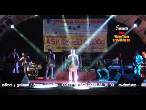 Thediniwiraja video Purple Range Pitigala | SAMPATH LIVE VIDEOS BALAPITIYA