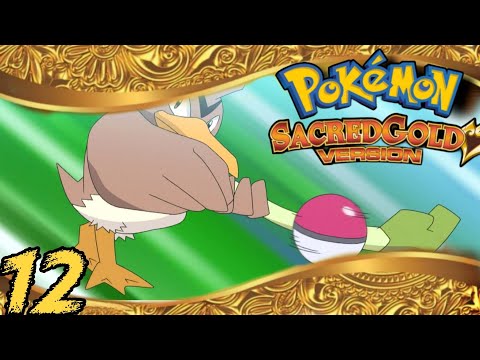 Pokemon ¡ORO SAGRADO! Nuzlocke Ep.12 | EL FARFETCH'D TROLL🤦🏻‍♂️🤦🏻‍♂️🤦🏻‍♂️🤦🏻‍♂️🤦🏻‍♂️