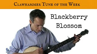 Clawhammer Banjo: Tune (and Tab) of the Week - "Blackberry Blossom"