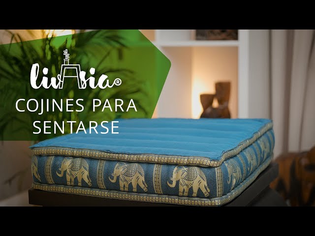 Vídeo relacionado con CHELY INTERMARKET Cojines Guitarra Exterior Packs 90x48x4cm Algodón Poliéster Cremallera Cordones Ajuste Universal Suave Jardín Terraza Playa Piscina Comodidad (Verde, Pack x2)