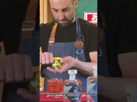 ViSa. Il cocktail signature di Mattteo Sangalli x Barbarasa Gin