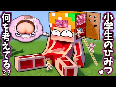 ㊙️だれにもいえない！ひ み つ🫢㊙️マイクラ体内/小学生あるある(#ぴこみんず)