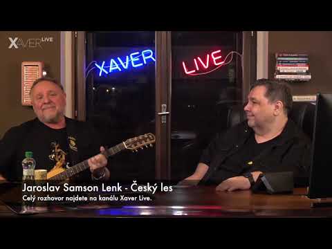 Jaroslav Samson Lenk - Český les