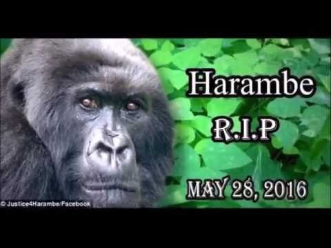 Frankie Mish - Dicks Out For Harambe (Feat  Frankie and Noah of Sleep Waker)