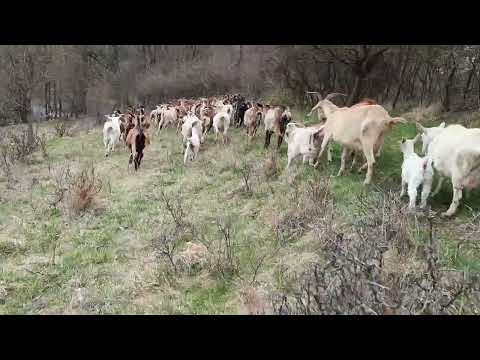 Hledání ztraceného času