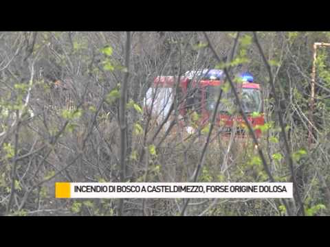 Incendio di bosco a Cateldimezzo, forse origine dolosa