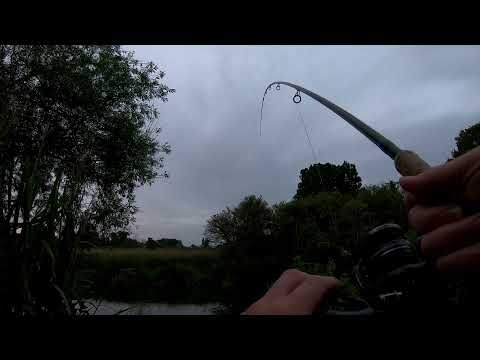 July Barbel session - part 2