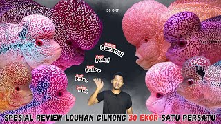 Download lagu Spesial Review Ikan Louhan Cilnong 30 ekor.. Harga Terjangkau Pilihan Banyak mp3 Download lagu Spesial Review Ikan Louhan Cilnong 30 ekor.. Harga Terjangkau Pilihan Banyak mp3