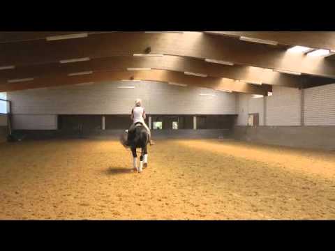 9 J  Del Piero M Gewonnen S Plaziert wmv teil 2