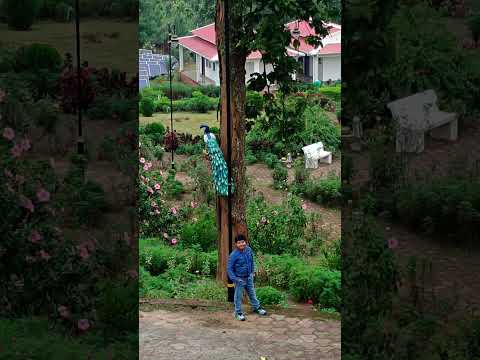 JHTDC#Netarhat#Nature#Great#Environment#Aryaman Banerjee vlogs#Like#Share#Subscribe#Motivation#