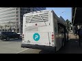 THROWBACK THURSDAY 2014 Pasadena Transit ENC EZ RIDER II BRT 3295
