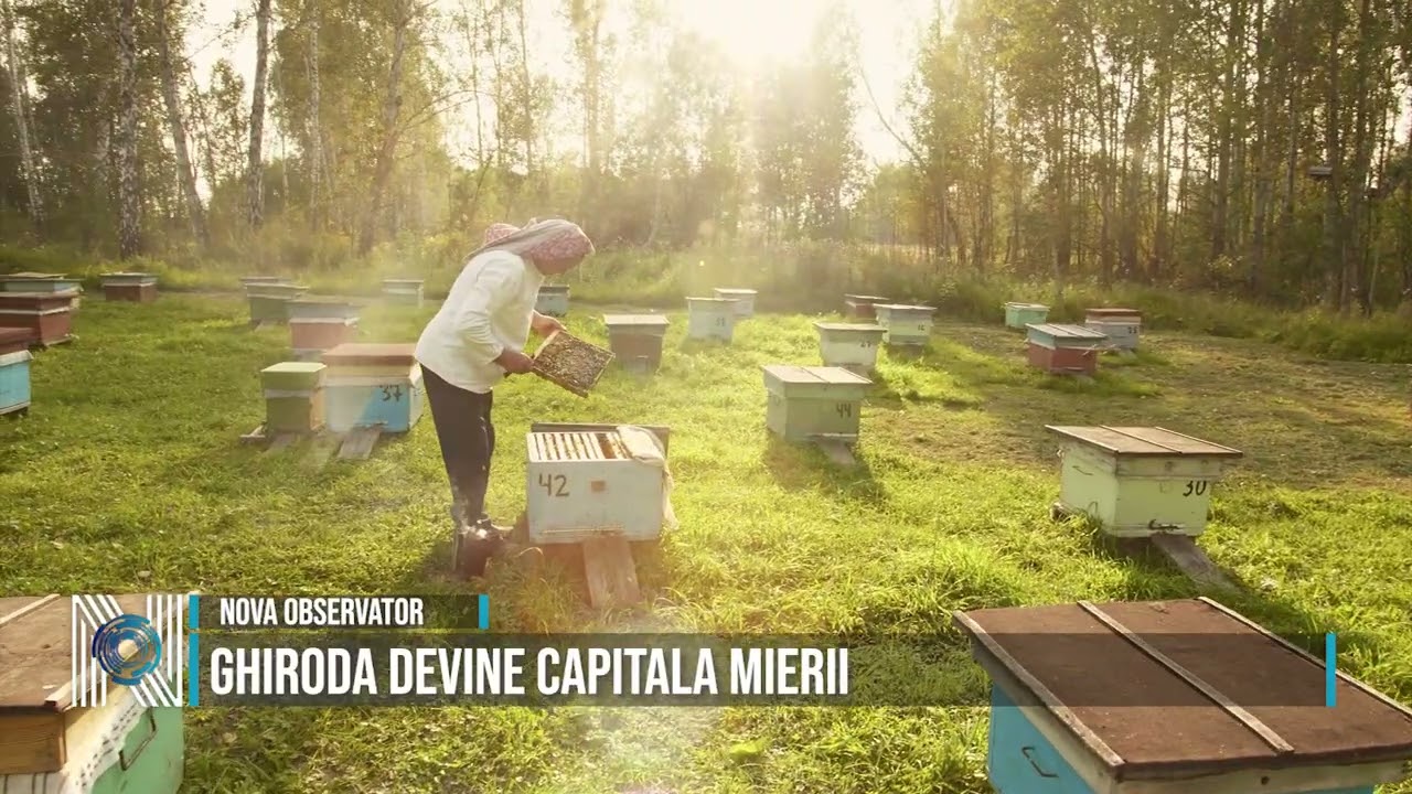 GHIRODA DEVINE CAPITALA MIERII