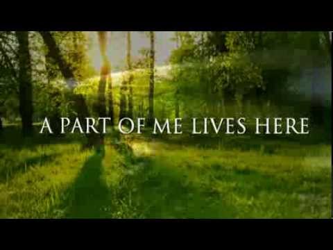 FASAR - "MY WOOD" (English version)