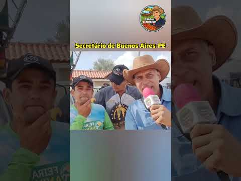 1ª Feira de Animais de Buenos Aires-PE  #omelhordonordeste #cavalo #feira #buenosairespe