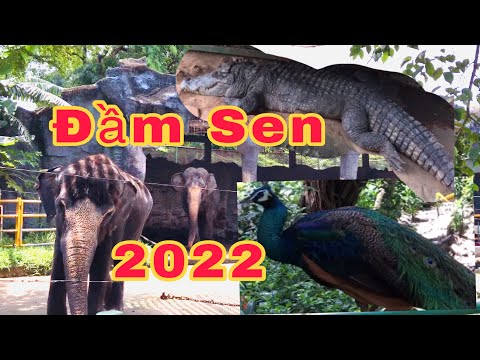 2022