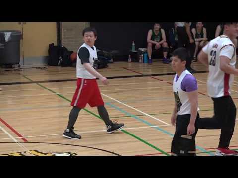 BTSM vs Skinz | Sat tier 6 playoffs - tcbl 2020 winter