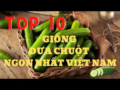 , title : 'Top 10 giống dưa chuột ngon nhất Việt Nam - Dưa chuột |Cây Xanh Ngọc Trang|'