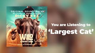 02 Wild Karnataka - Largest Cat - Original Soundtrack by Ricky Kej