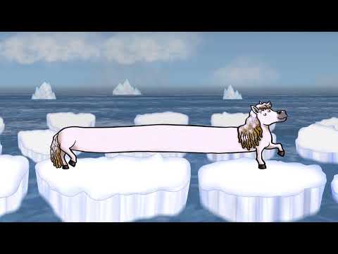 Northwest Passage | The Longest Pony