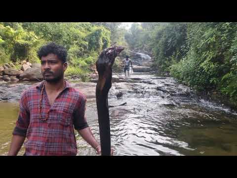 பானம் | Baanam Short Film Title Teaser | #Nanthukarthi01 |Title Teaser |