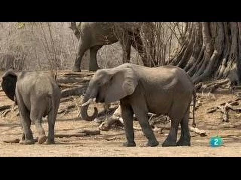 Mediterráneo Grandes Documentales de la 2 de TVE