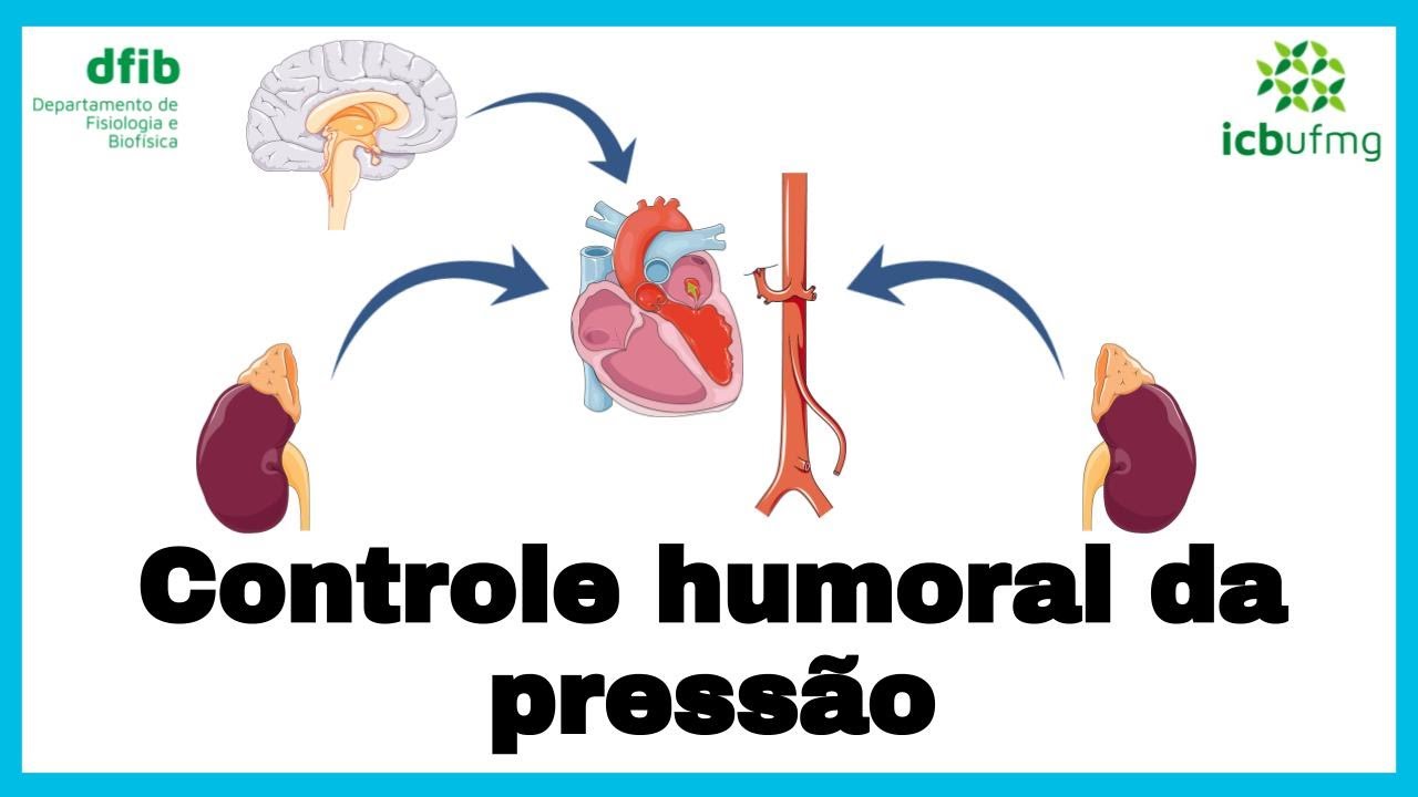 O controle humoral da Pressão Arterial