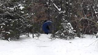 Traveling at the speed of light....not quite.