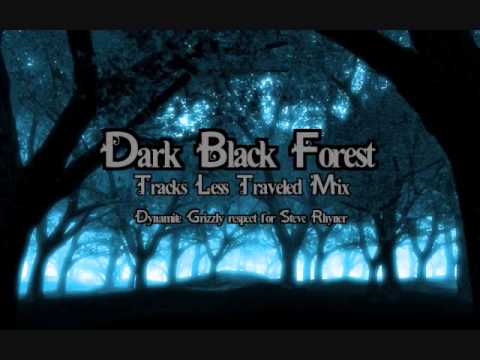 Dynamite Grizzly - Dark Black Forest (Tracks Less Traveled Remix)