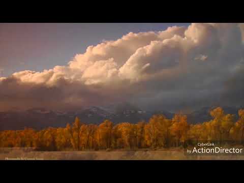 Drugan Vasile - Tu esti nemarginirea