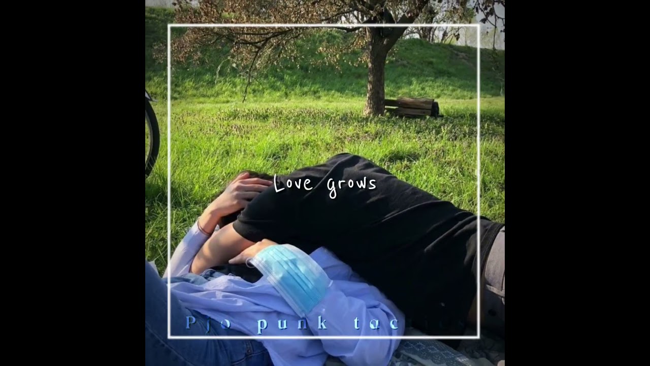 My sillies| #oc #book #writer