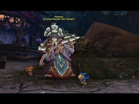 [WOW] Elekk ACM: Vesharr
