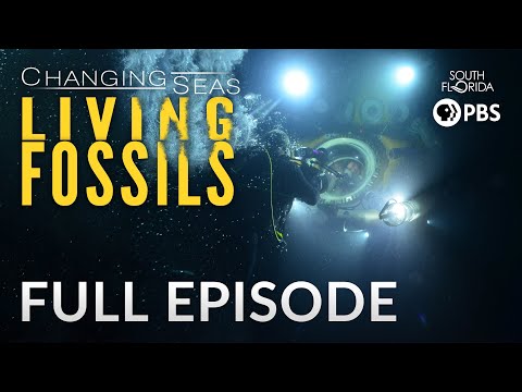 Living Fossils - Full Episode