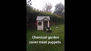 chemical garden, meat puppets (cover)