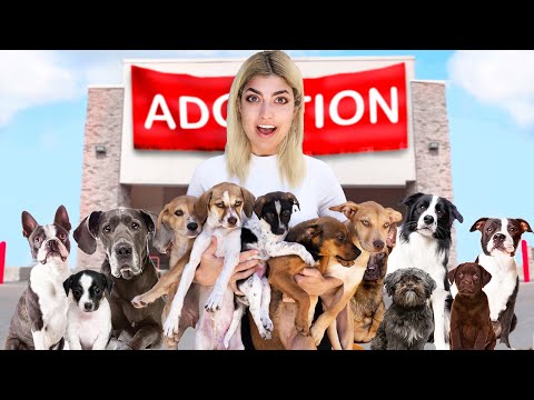 Getting 20 Puppies Adopted In A Day!